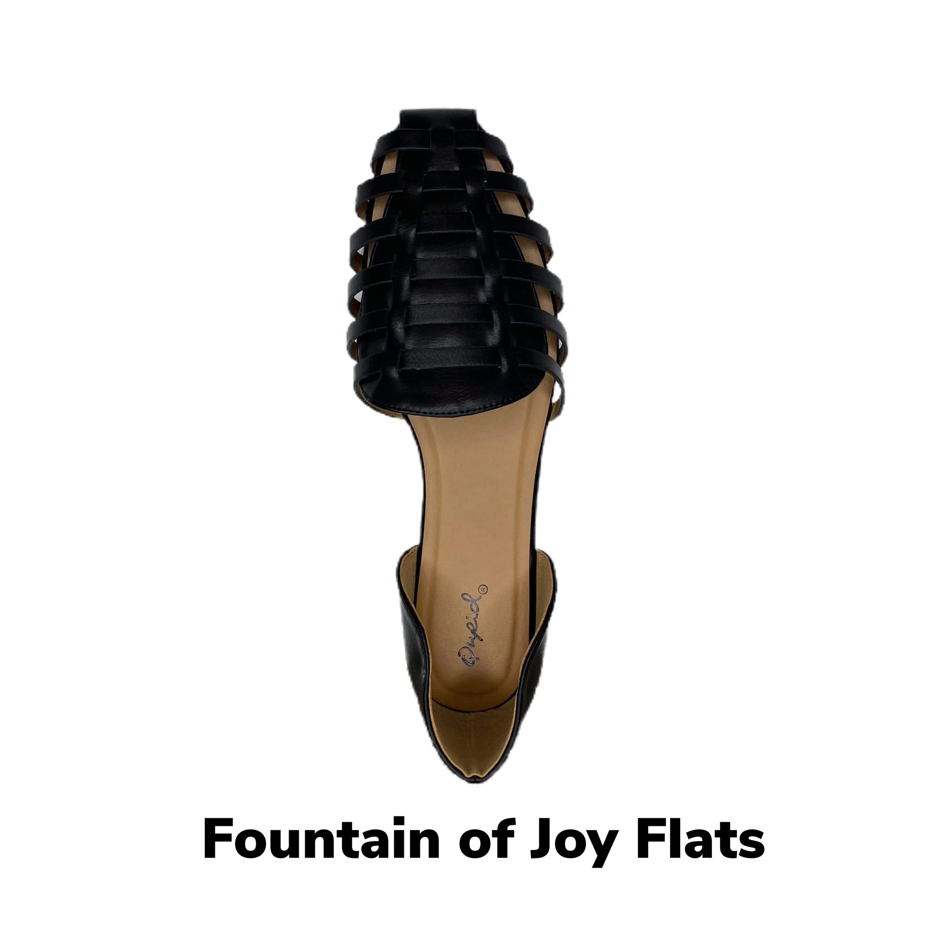 Fountain of Joy Flats